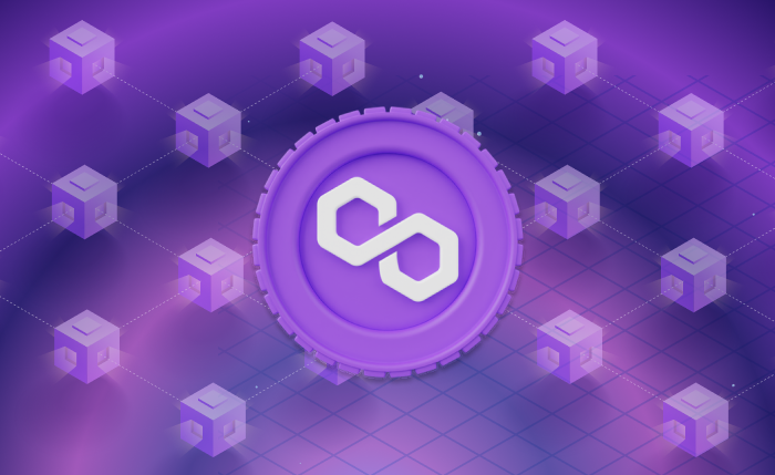 Discover the Top 9 Polygon Cross-Chain Bridges in 2025. Compare speed, fees, security and supported blockchains to choose the best bridge for your needs.